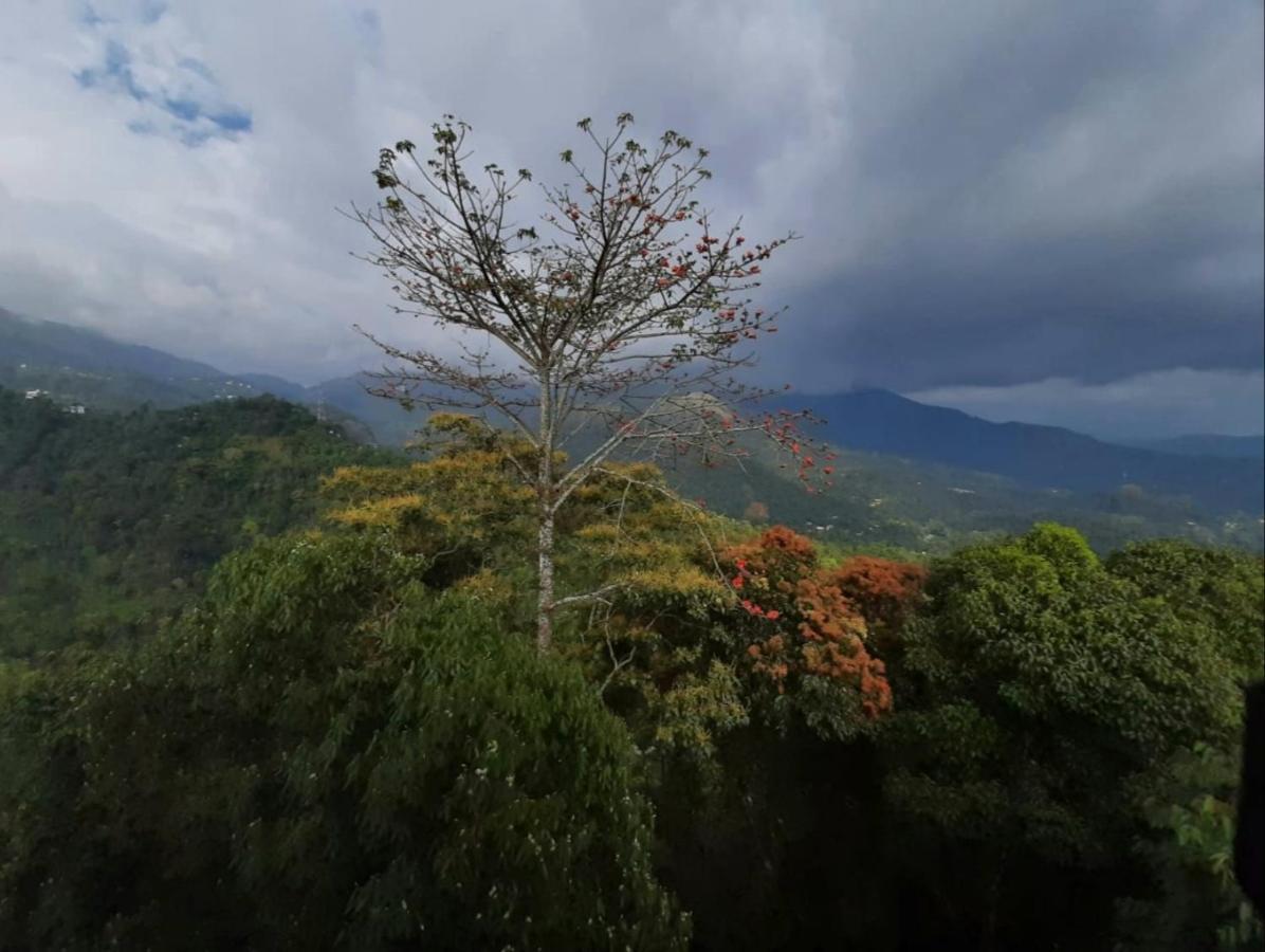Palmtree Leaf, Munnar Hotel Bagian luar foto